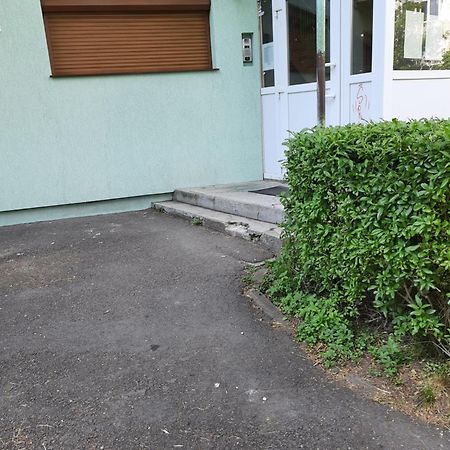 Home Uranus Braşov Dış mekan fotoğraf