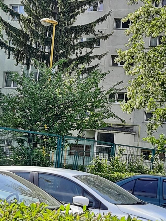Home Uranus Braşov Dış mekan fotoğraf